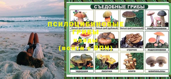 СК Аркадак