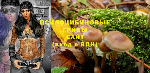 прущие крисы Арсеньев