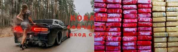 прущие крисы Арсеньев