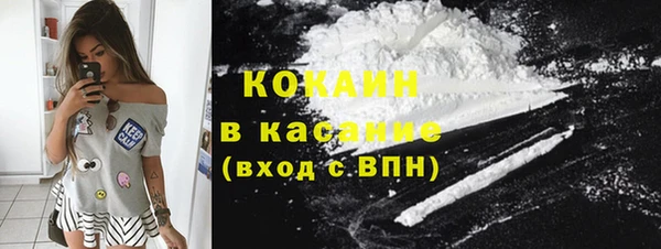 прущие крисы Арсеньев